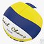 Pelota de voleibol de playa