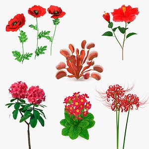 Red Flowering Plants Collection 4