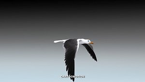 SeaGul - Animated