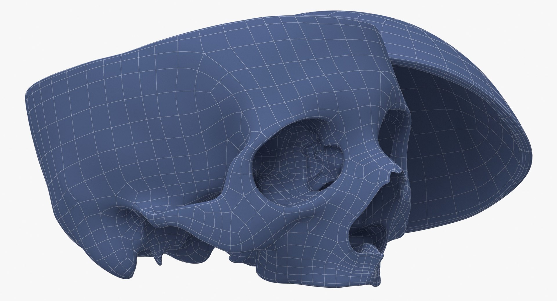 human skull cranial 02 3D model https://p.turbosquid.com/ts-thumb/FQ/EpbD0U/JPceINW0/human_skull_cranial_02_cut_with_piece_white_pose_02_wireframe_0008/jpg/1588235649/1920x1080/fit_q87/1e0d80195deb4d06355ab60941df13f6c117c368/human_skull_cranial_02_cut_with_piece_white_pose_02_wireframe_0008.jpg