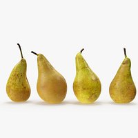 Pears Conference 03-06