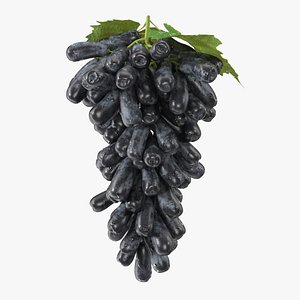 3D Sweet Sapphire Grapes Wet with Leaf model