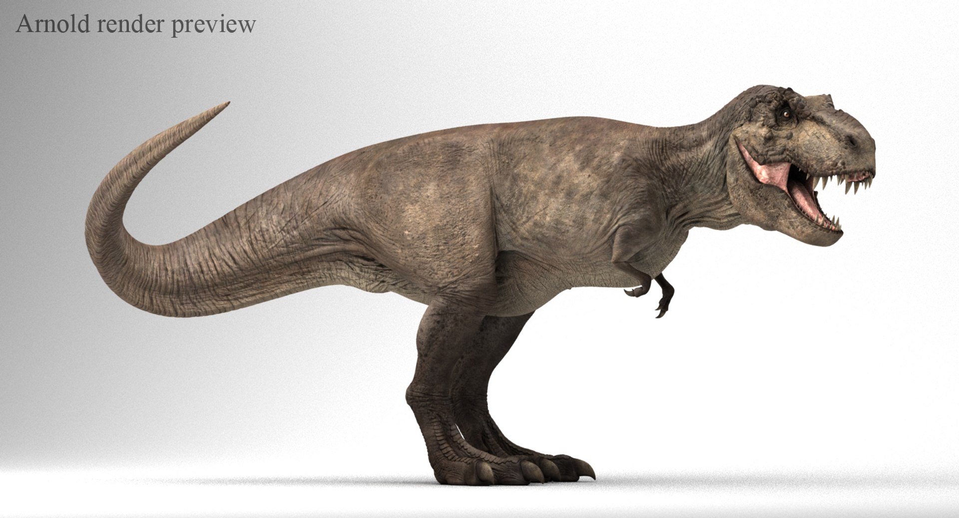 3D T-rex Rigged Tyrannosaurus Rex Model - TurboSquid 1154016