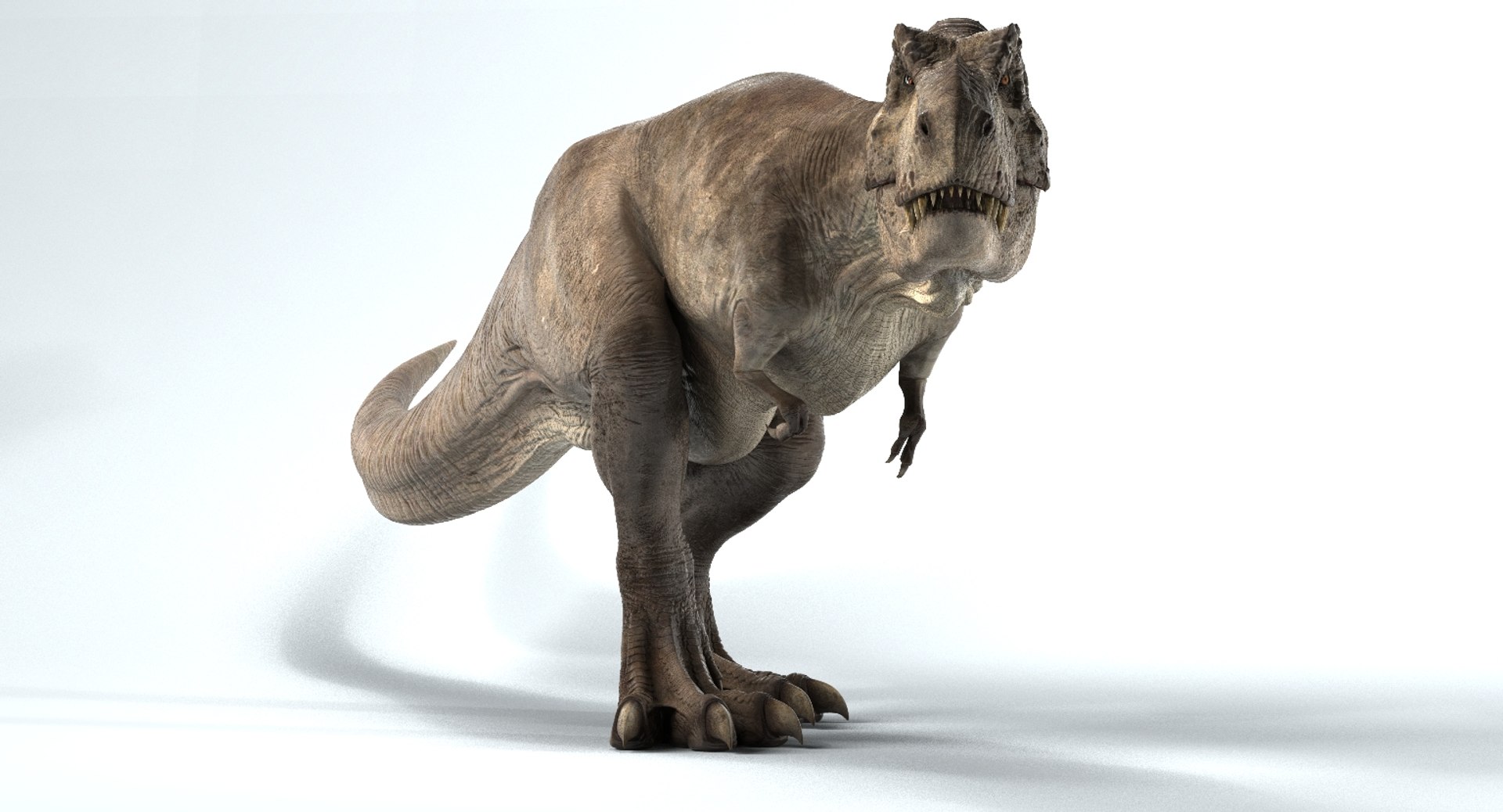 3D T-rex Rigged Tyrannosaurus Rex Model - TurboSquid 1154016