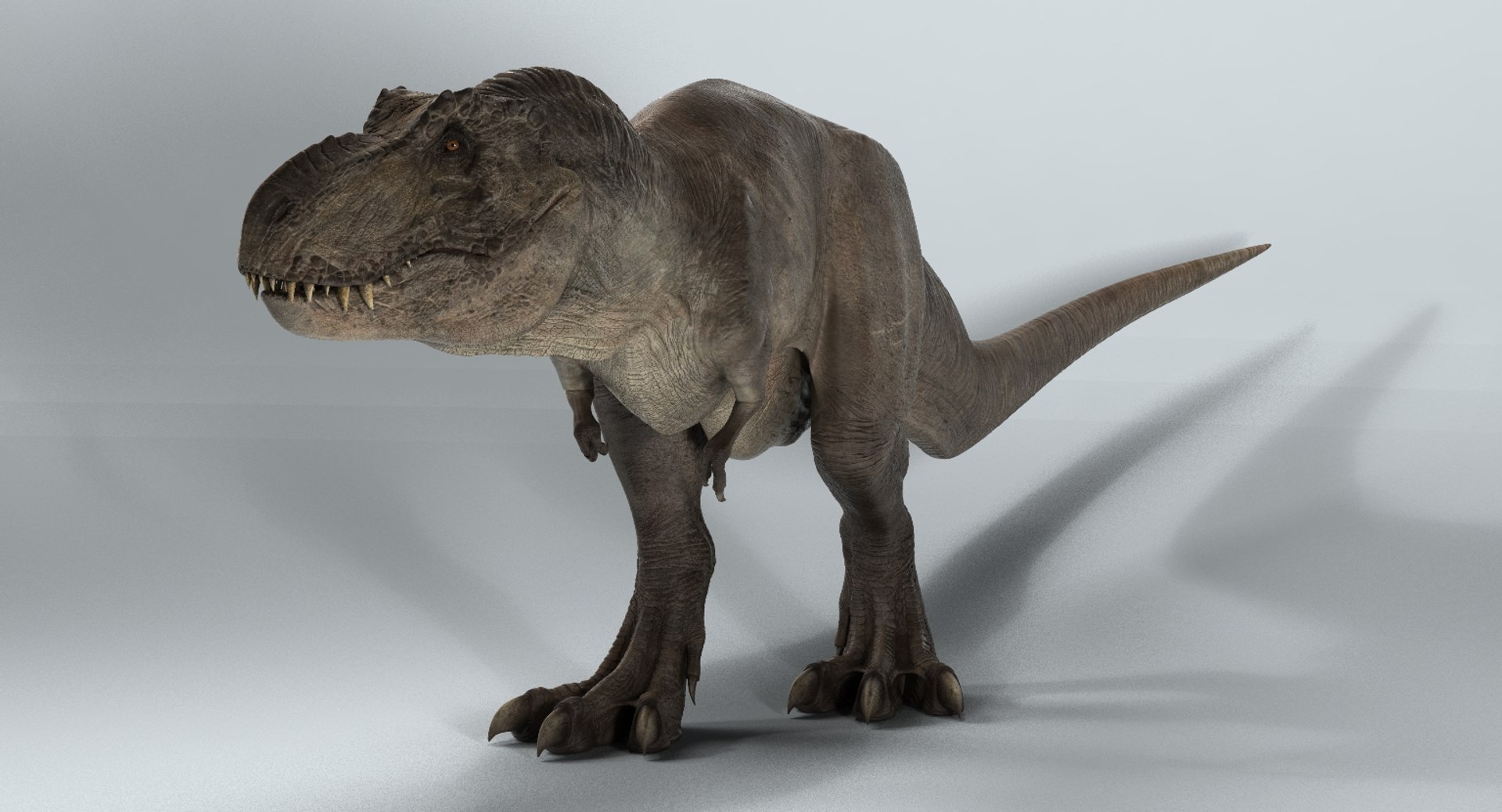 3D T-rex Rigged Tyrannosaurus Rex Model - TurboSquid 1154016