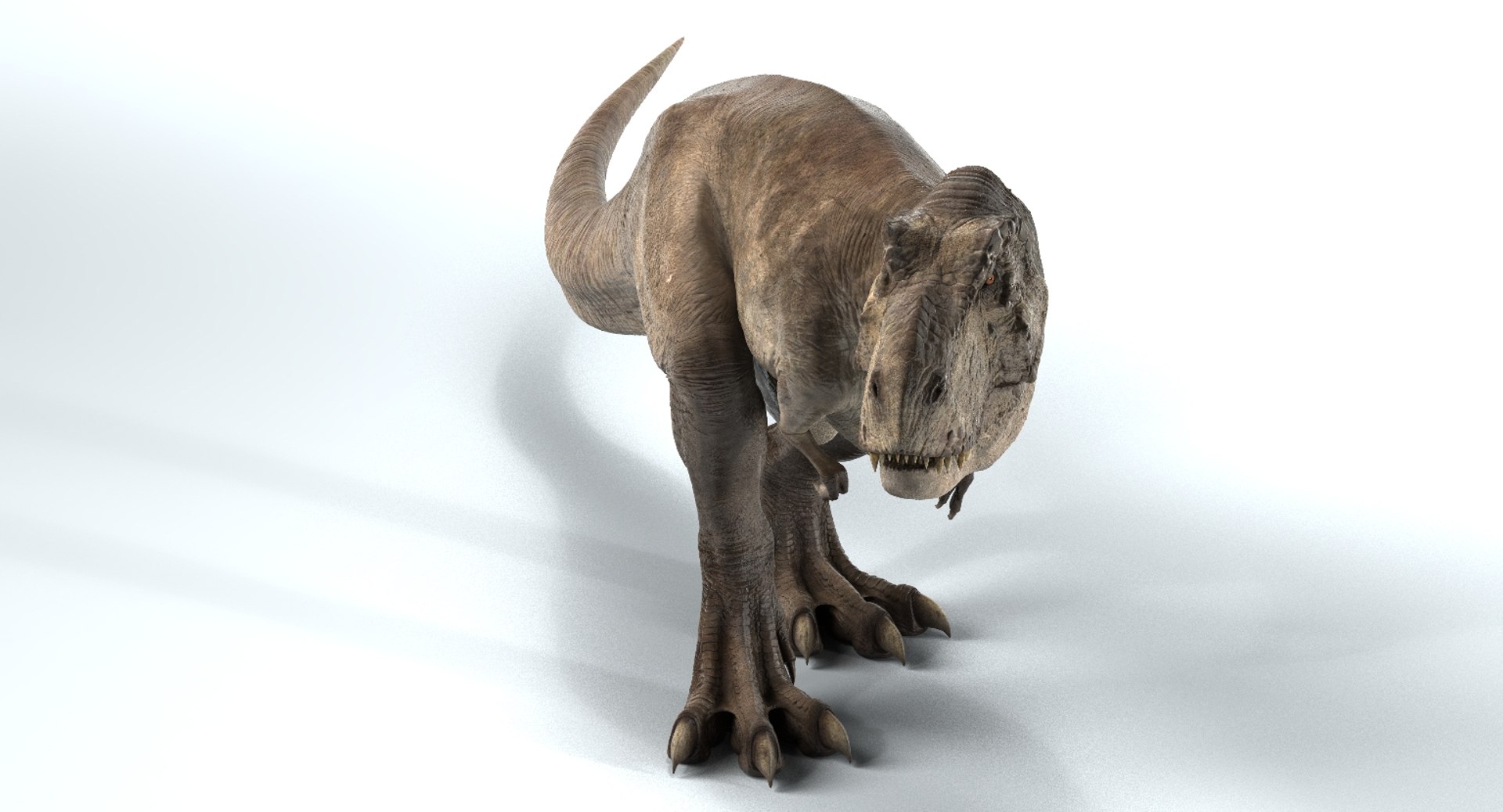 3D T-rex Rigged Tyrannosaurus Rex Model - TurboSquid 1154016