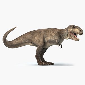 3D t-rex rigged tyrannosaurus rex model