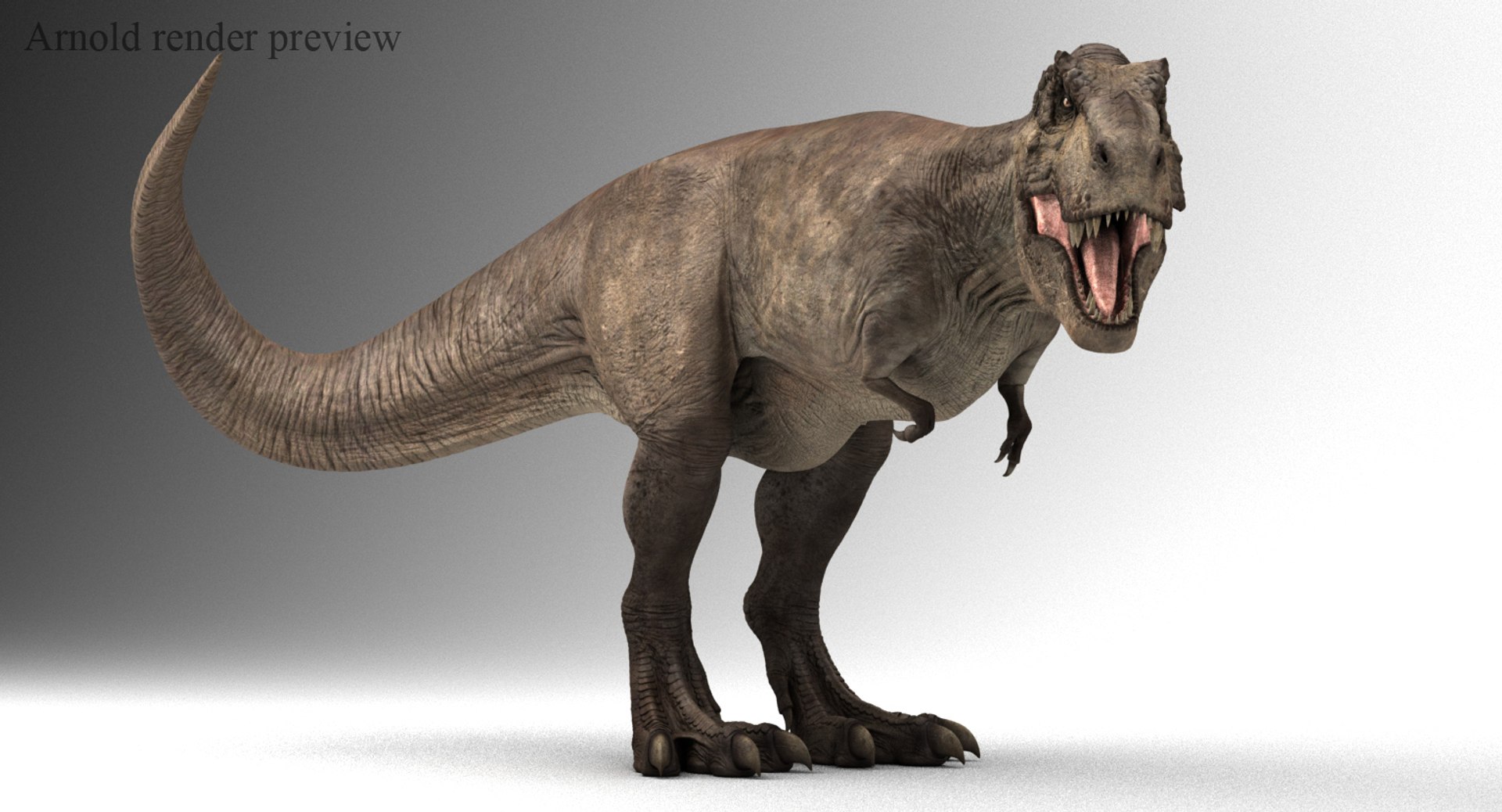 3D T-rex Rigged Tyrannosaurus Rex Model - TurboSquid 1154016