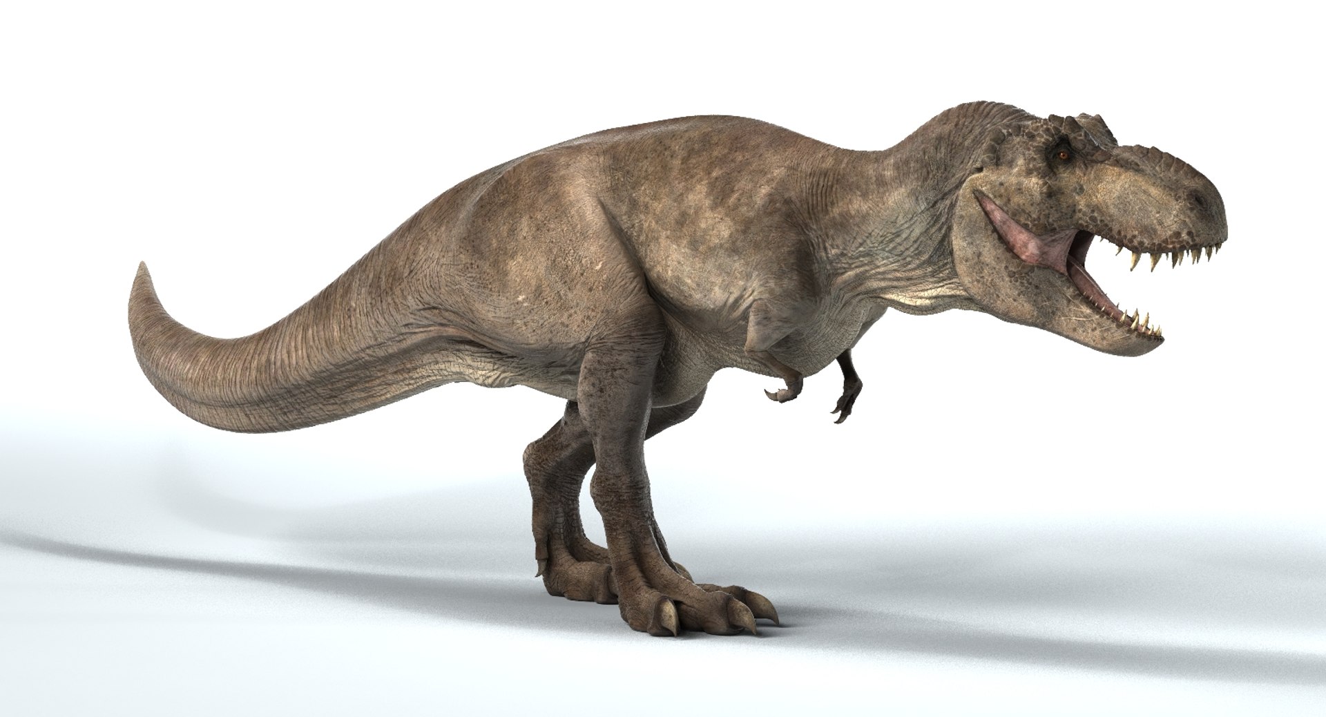 3D T-rex Rigged Tyrannosaurus Rex Model - TurboSquid 1154016