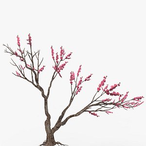3D Peach tree 3d model