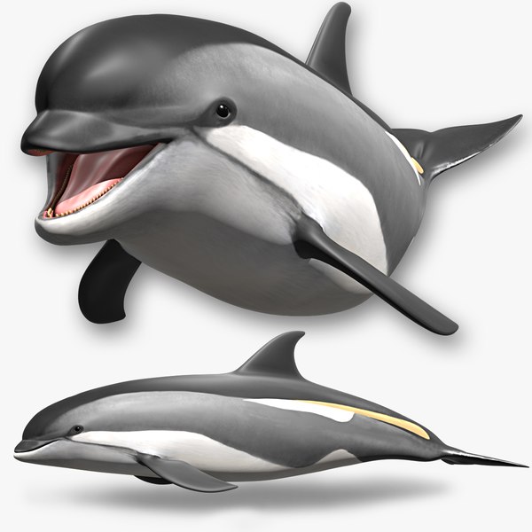 イルカ ノーカット】イルカのパフォーマンスショー / 名古屋港水族館