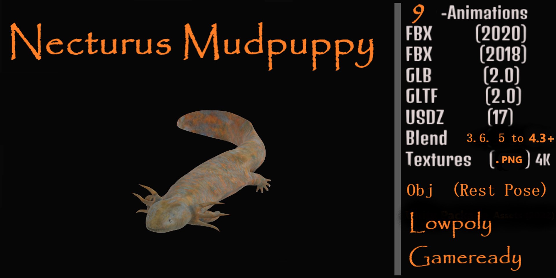 3D Necturus Mudpuppy Model - TurboSquid 2375551