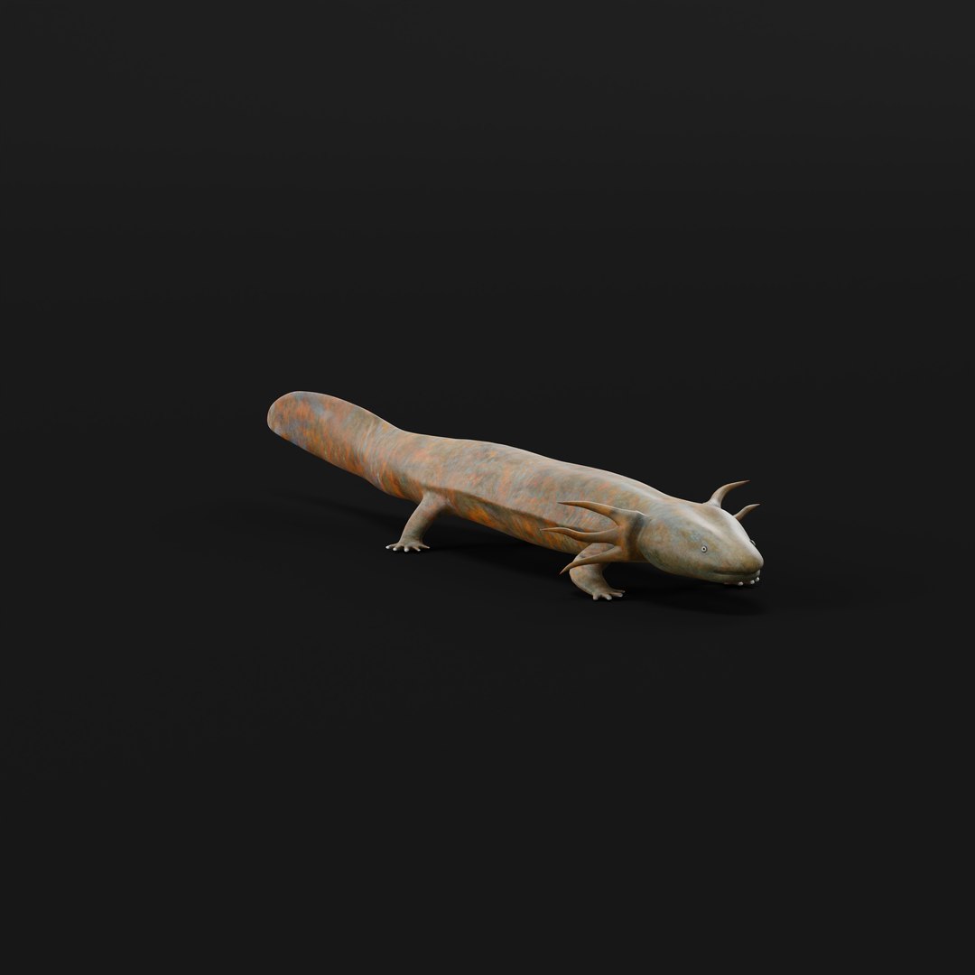 3D Necturus Mudpuppy Model - TurboSquid 2375551
