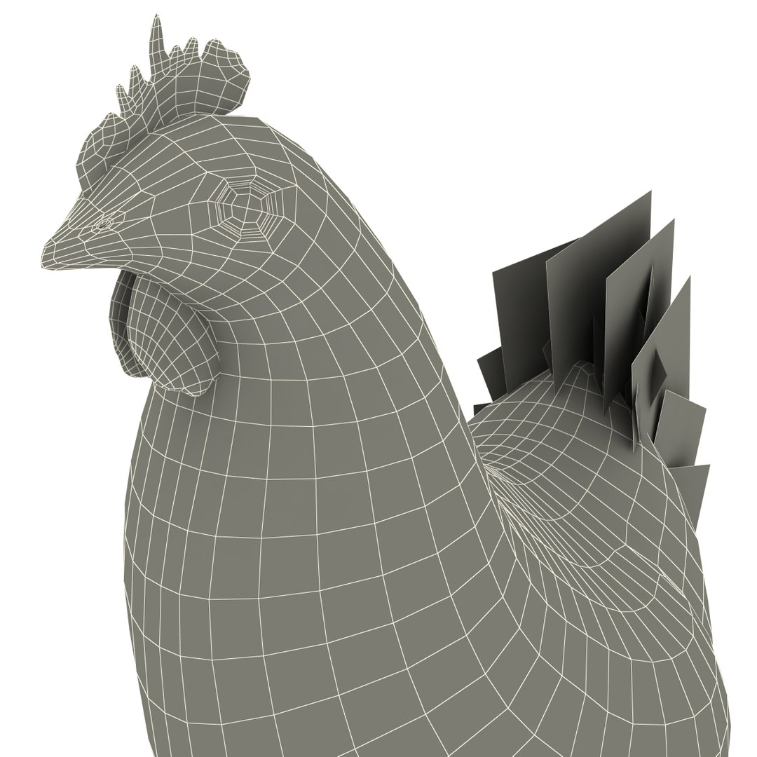 chicken modelled 3d model