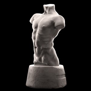 Male torso
