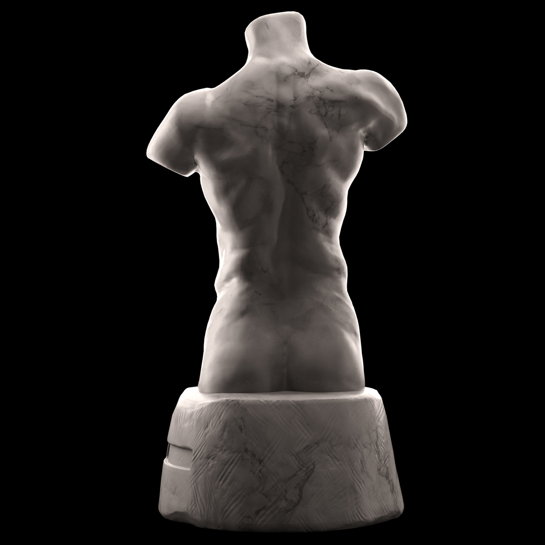 Male Torso 3D Model - TurboSquid 1217978