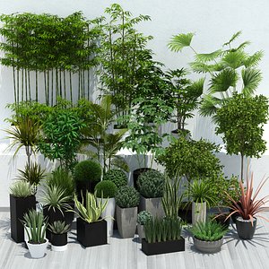 3d plants