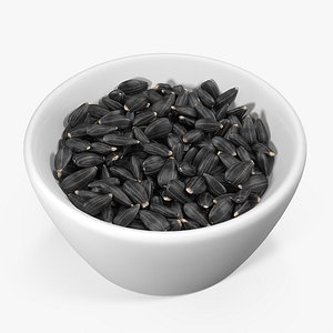 3D model bowl black sunflower seeds