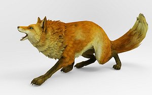 Fox 17 Animations 3D model