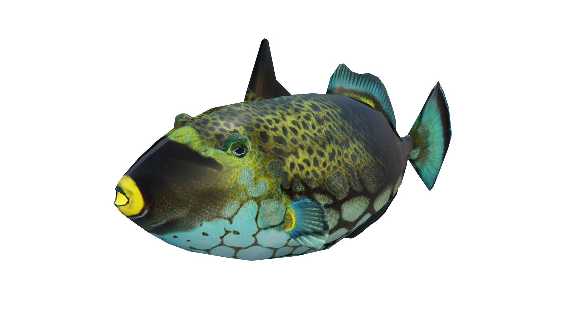 3D Model Picasso Triggerfish 3D Model - TurboSquid 2310647