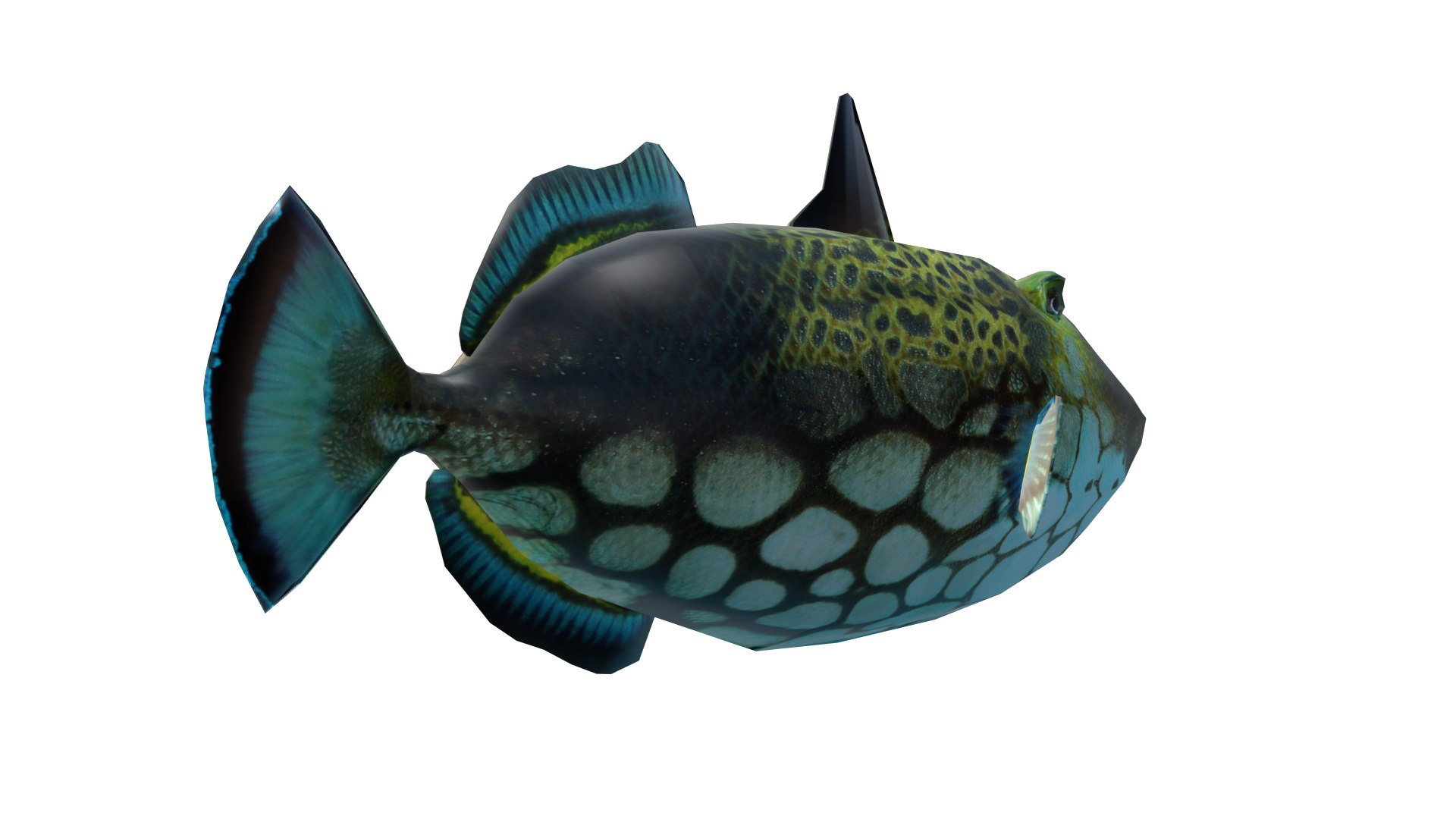 3D Model Picasso Triggerfish 3D Model - TurboSquid 2310647