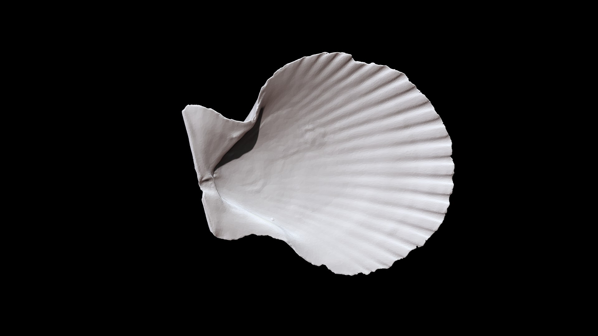 Seashell011 model https://p.turbosquid.com/ts-thumb/FR/BgLDlv/fu/4/png/1631070137/1920x1080/fit_q87/e393536d27e61f5dbe9cd2bc7d710f5935b26261/4.jpg