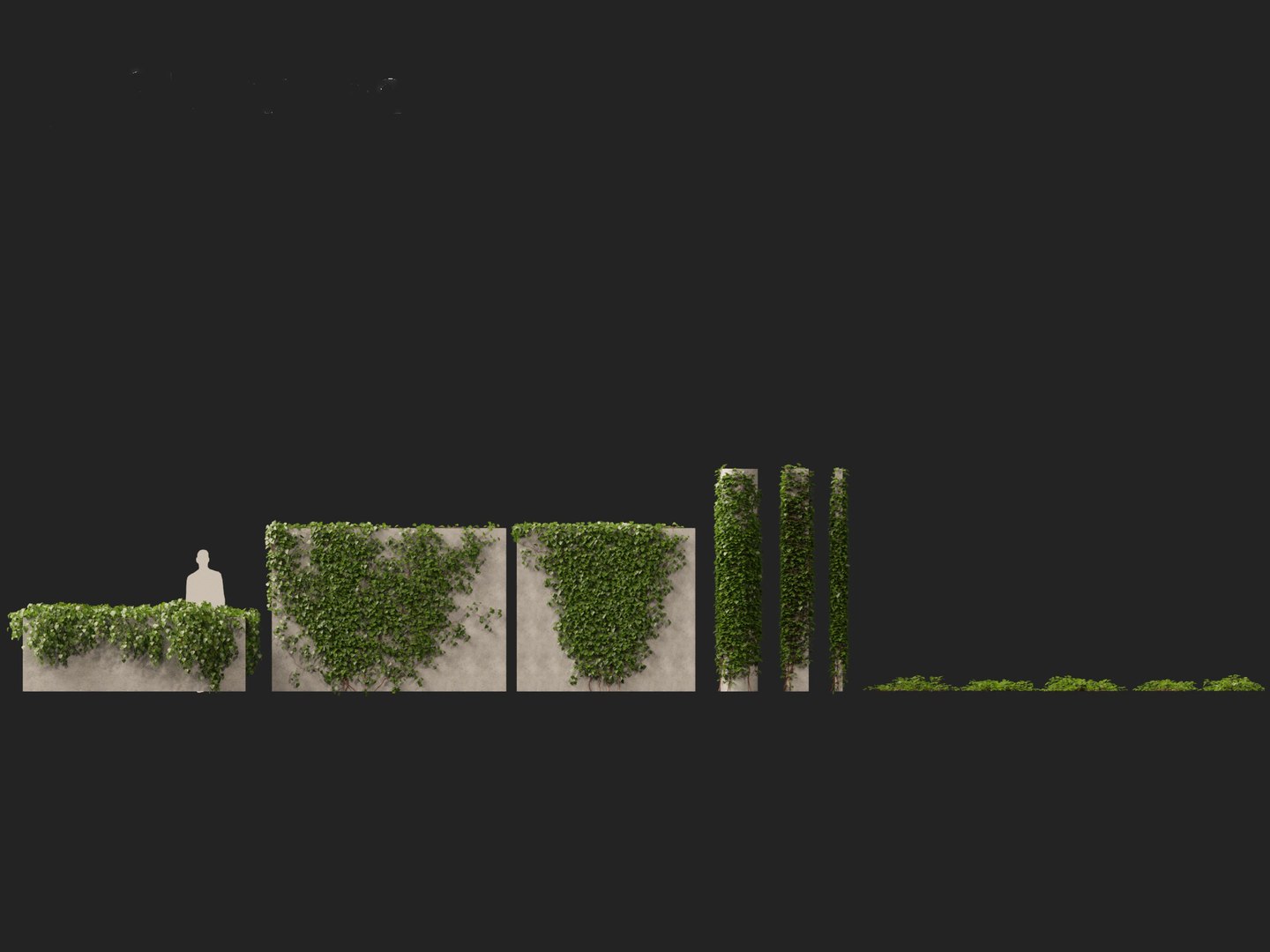 3D model Hedera canariensis - Canarian ivy https://p.turbosquid.com/ts-thumb/FR/Qozd1Y/1D/hederacanariensis012/jpg/1706679909/1920x1080/fit_q87/869764ebbc034faf79bd38348d2be5f034d6394e/hederacanariensis012.jpg