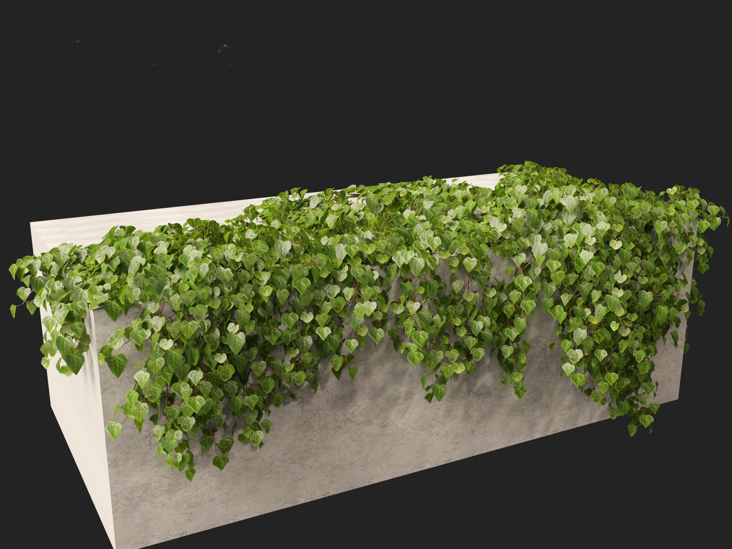 3D model Hedera canariensis - Canarian ivy https://p.turbosquid.com/ts-thumb/FR/Qozd1Y/4o/hederacanariensis014/jpg/1706679913/1920x1080/fit_q87/07cdbee40232735ffbbfdf092ece06f25d90be88/hederacanariensis014.jpg