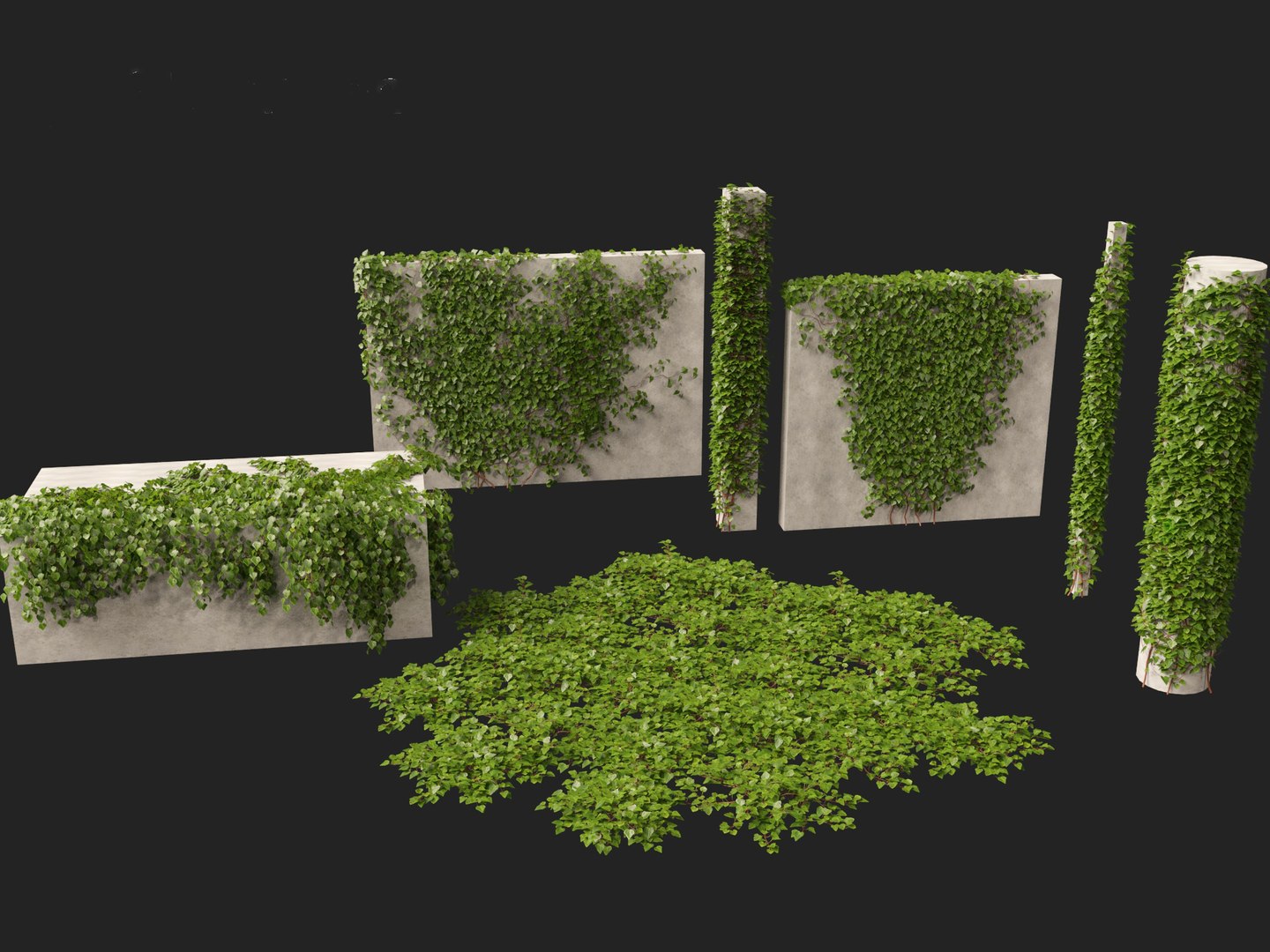 3D model Hedera canariensis - Canarian ivy https://p.turbosquid.com/ts-thumb/FR/Qozd1Y/Xz/hederacanariensis0112/jpg/1706679924/1920x1080/fit_q87/11151ec340ad2122e653ea56b04f60f3784b463a/hederacanariensis0112.jpg