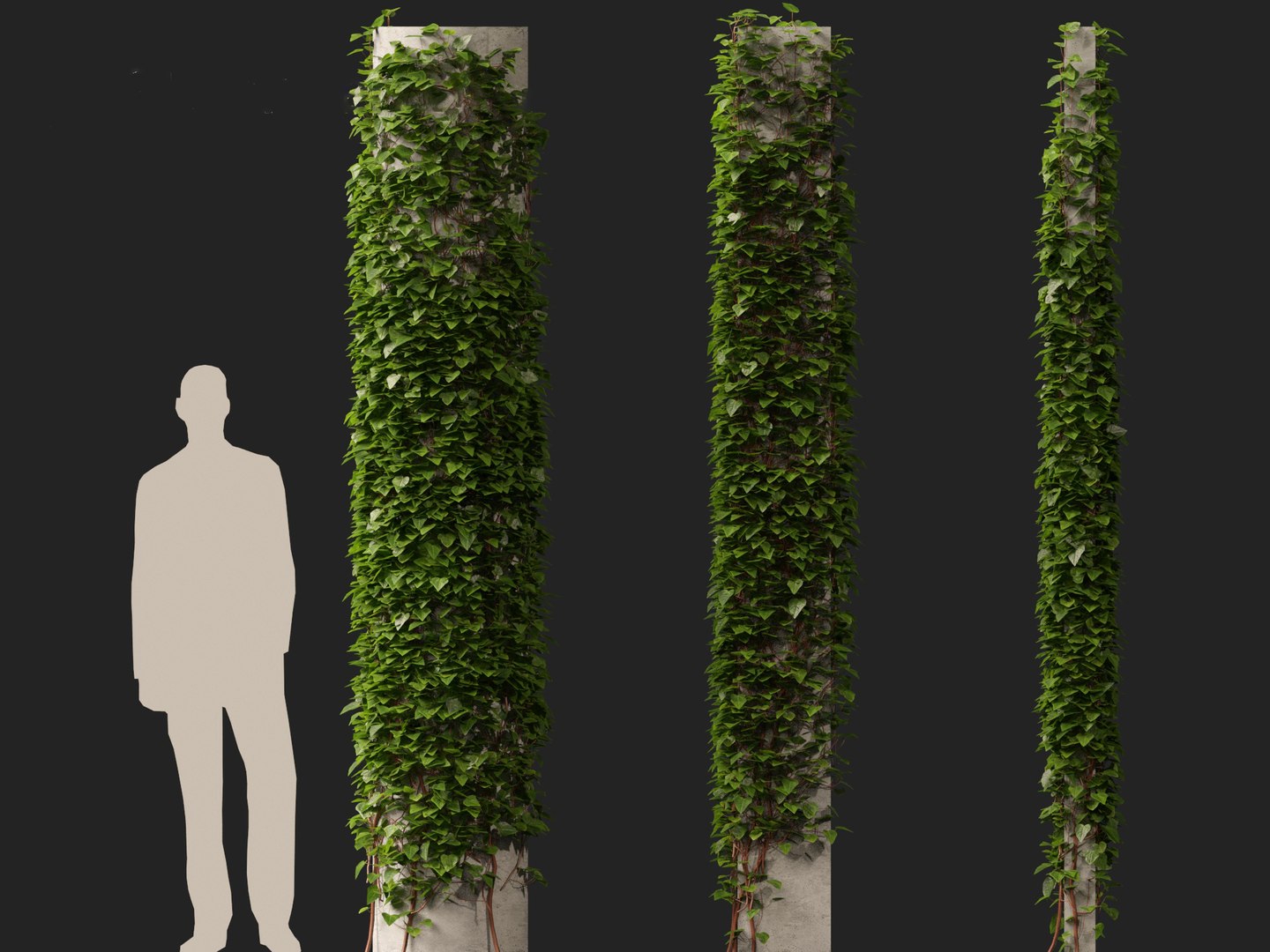 3D model Hedera canariensis - Canarian ivy https://p.turbosquid.com/ts-thumb/FR/Qozd1Y/Ya/hederacanariensis018/jpg/1706679919/1920x1080/fit_q87/30e8aae9d77d1f11c10635bbd629f17f19b55080/hederacanariensis018.jpg