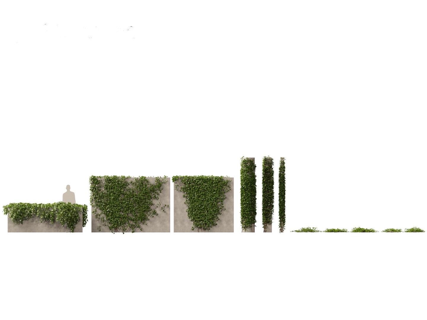 3D model Hedera canariensis - Canarian ivy https://p.turbosquid.com/ts-thumb/FR/Qozd1Y/nB/hederacanariensis011/jpg/1706679907/1920x1080/fit_q87/72d0c665c6c2e7fbc7d33e1534fcdfa0c004a9f6/hederacanariensis011.jpg