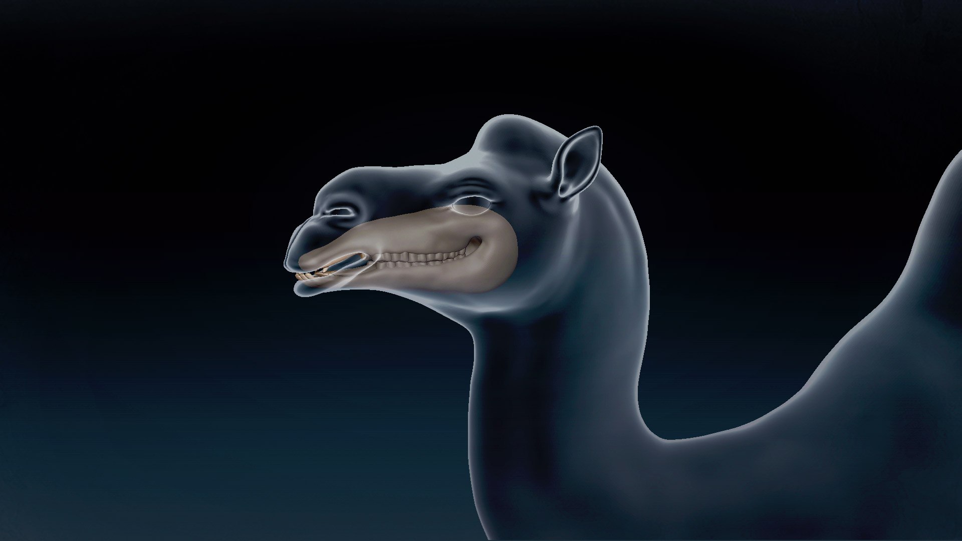 3D model Bactrian Camel Base Mesh 3D https://p.turbosquid.com/ts-thumb/FR/ji7vQZ/2w/9/jpg/1638720130/1920x1080/fit_q87/93b8828f25295abfb4e6cbef07a5d5217198cdd5/9.jpg