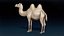 Base de chameau de Bactriane Mesh 3D