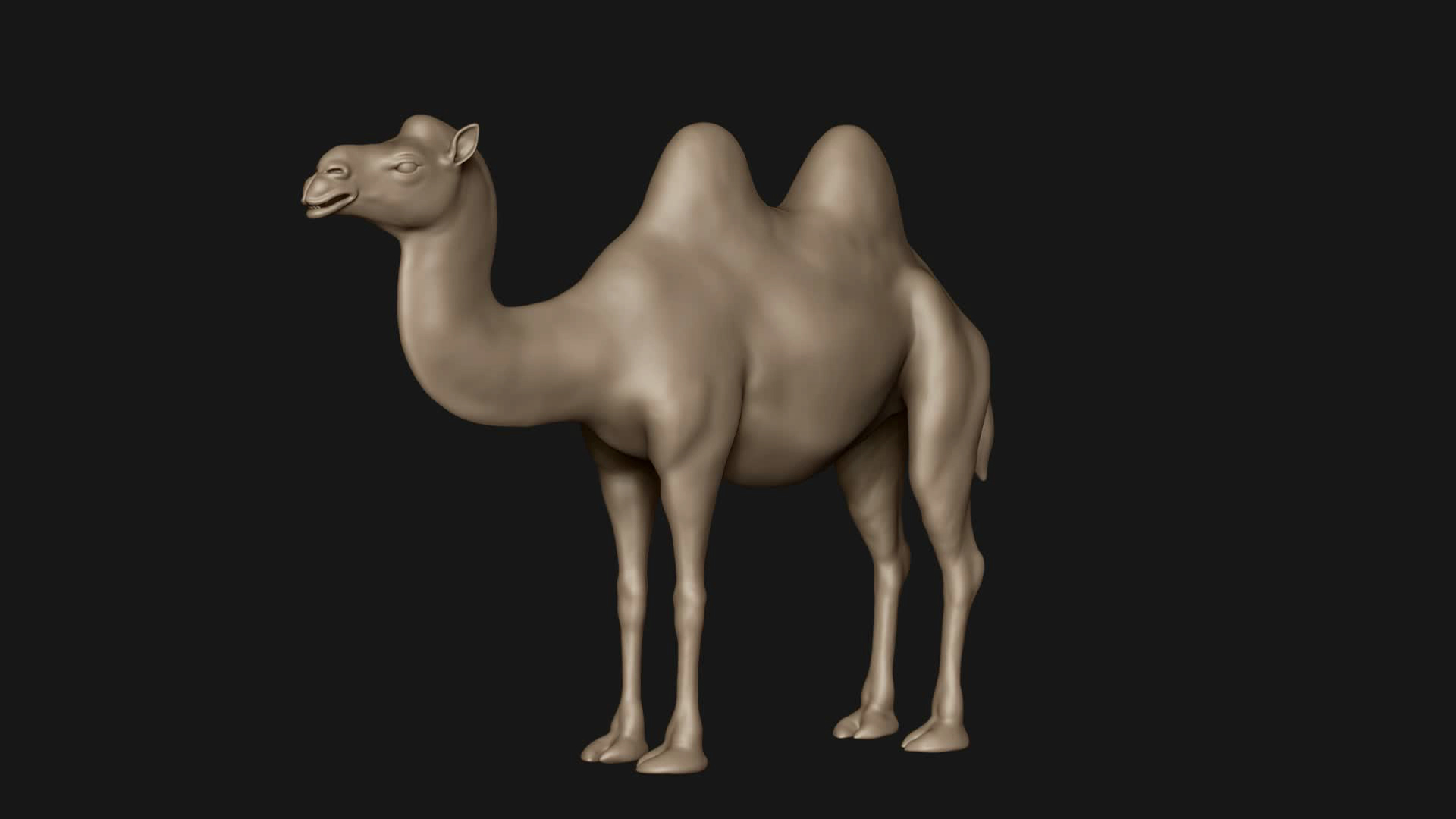 3D model Bactrian Camel Base Mesh 3D https://p.turbosquid.com/ts-thumb/FR/ji7vQZ/RR/frame/jpg/1647018291/1920x1080/turn_fit_q99/7ca75e821ad7a9cb57577730263120ca76131591/frame-1.jpg