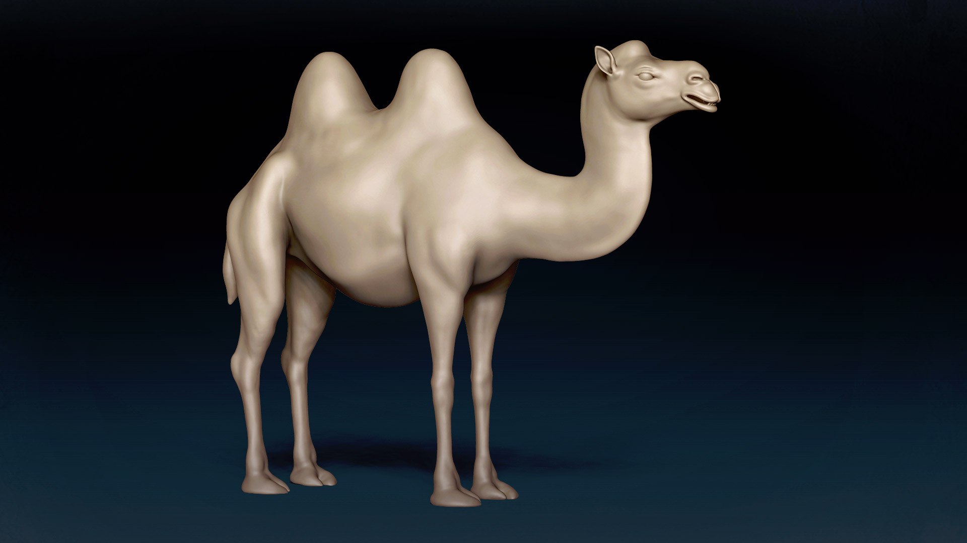 3D model Bactrian Camel Base Mesh 3D https://p.turbosquid.com/ts-thumb/FR/ji7vQZ/Y2/3/jpg/1638720131/1920x1080/fit_q87/bea3ebccef56c8ef59441cced6099dbe4d2d0e7d/3.jpg