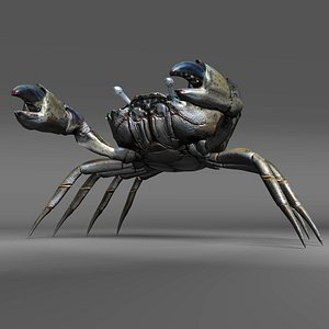 Green Crab