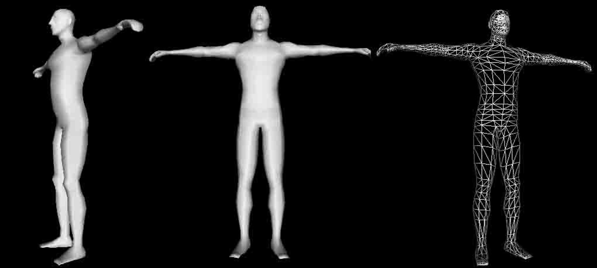 3d Model Human Polys Modelled