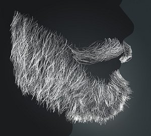 3D Beard RealTime 14 Version 1