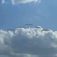 UFO