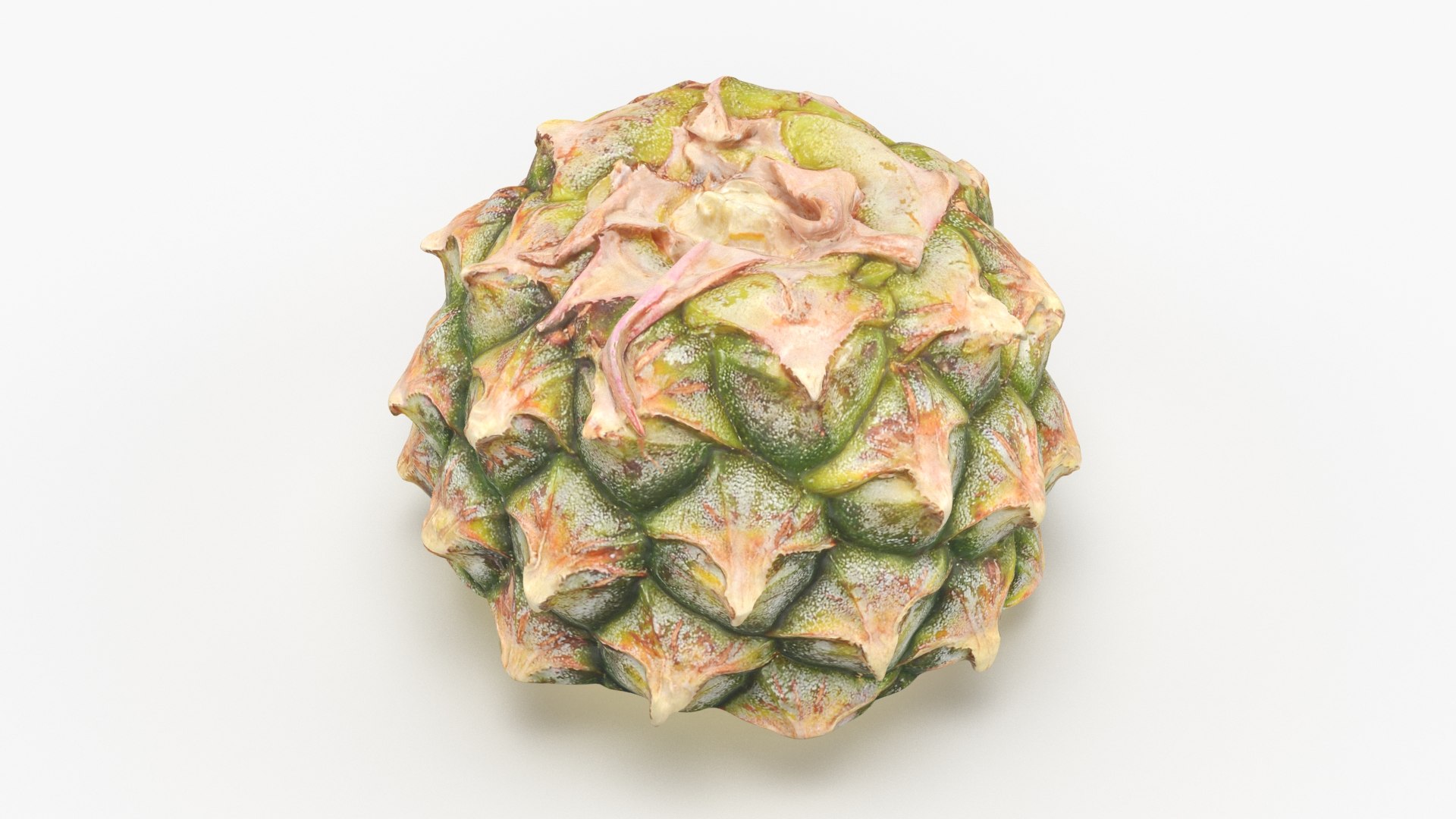 Pineapple Cut in Half 1 3D model https://p.turbosquid.com/ts-thumb/FS/MTlRnu/AQ/pineapplehalf1_b0023/jpg/1689712647/1920x1080/fit_q87/19194459434cb36c6eaece81fde359d357928c8f/pineapplehalf1_b0023.jpg