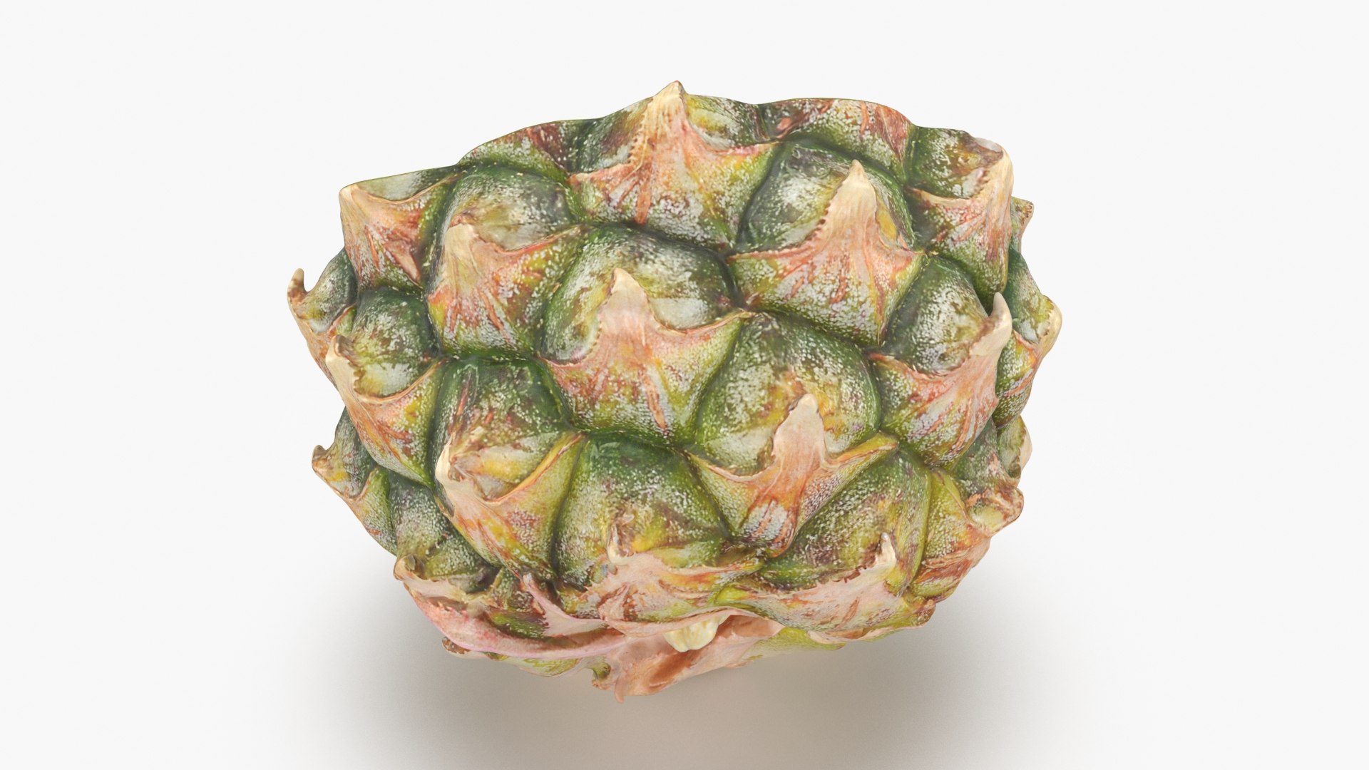 Pineapple Cut in Half 1 3D model https://p.turbosquid.com/ts-thumb/FS/MTlRnu/KN/pineapplehalf1_b0016/jpg/1689712644/1920x1080/fit_q87/8e62a12975def13376d1a57c26e071d372e58755/pineapplehalf1_b0016.jpg