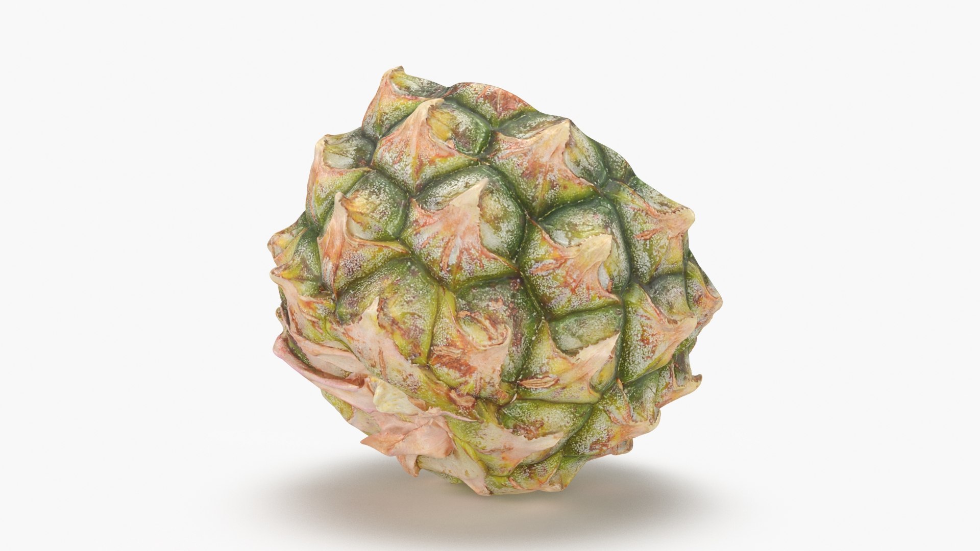 Pineapple Cut in Half 1 3D model https://p.turbosquid.com/ts-thumb/FS/MTlRnu/Lk/pineapplehalf1_b0010/jpg/1689712642/1920x1080/fit_q87/4614d5dc618aaff8896157c3382b3dc20a17c0c7/pineapplehalf1_b0010.jpg