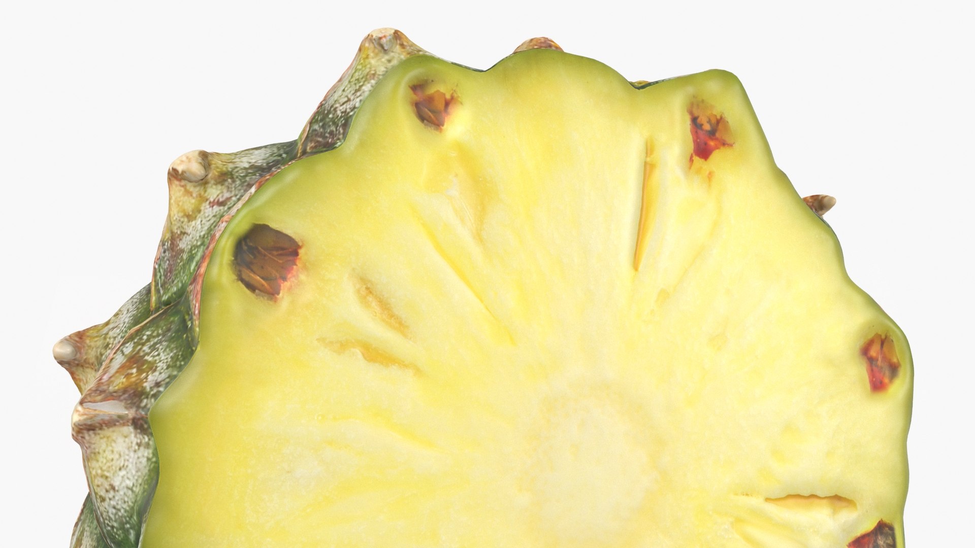 Pineapple Cut in Half 1 3D model https://p.turbosquid.com/ts-thumb/FS/MTlRnu/Oe/pineapplehalf1_b0012/jpg/1689712642/1920x1080/fit_q87/d4dad6059af3f4fa6239f049e2a5b70e922d5b1f/pineapplehalf1_b0012.jpg