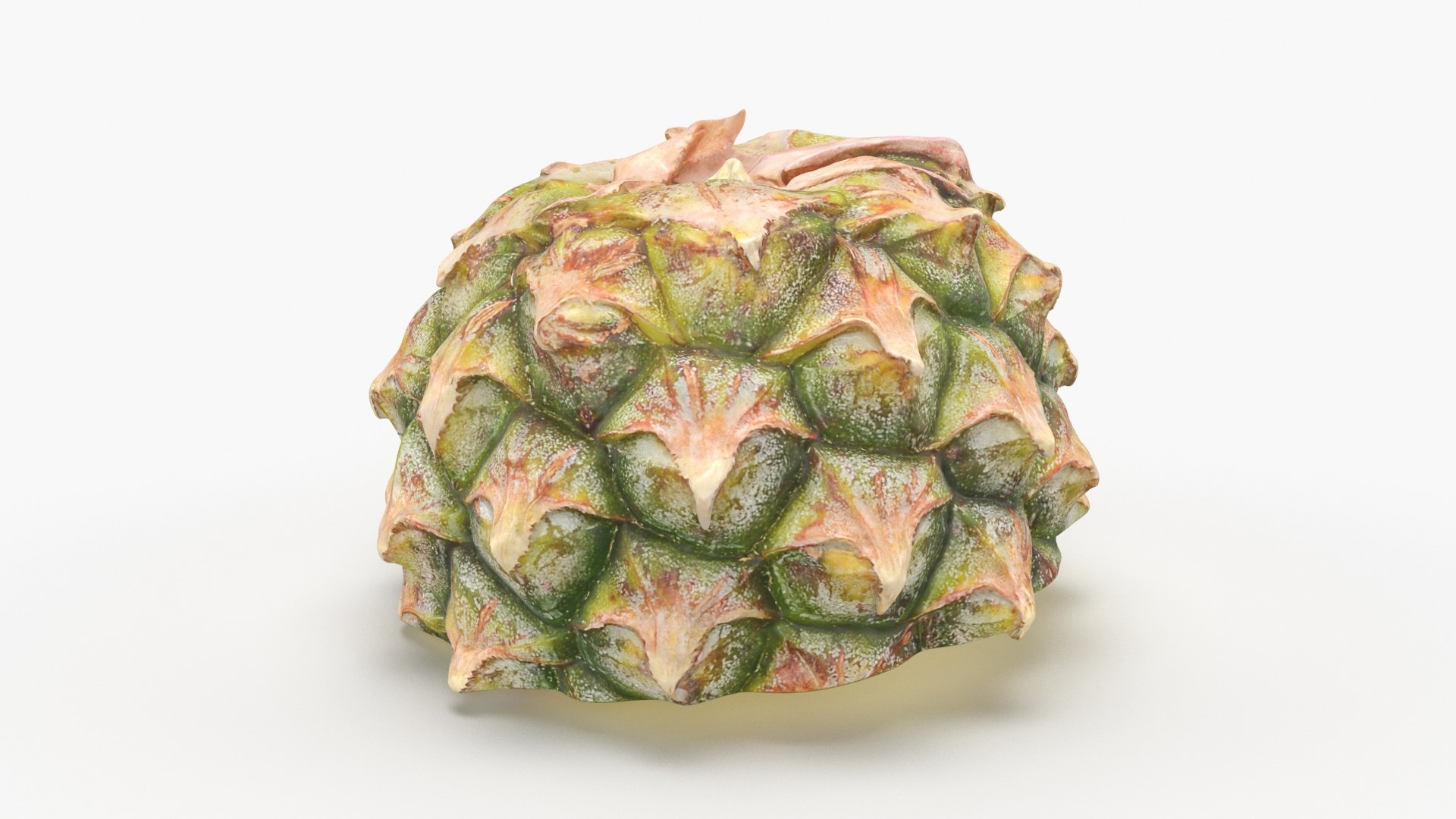 Pineapple Cut in Half 1 3D model https://p.turbosquid.com/ts-thumb/FS/MTlRnu/zM/pineapplehalf1_b0024/jpg/1689712647/1920x1080/fit_q87/5182781546e5534de732bfc25bb2b3de10199142/pineapplehalf1_b0024.jpg