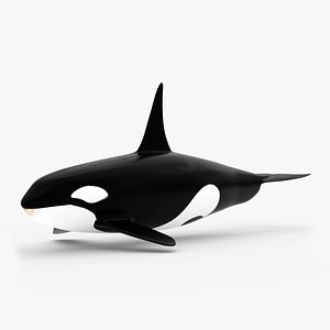 Killer Whale