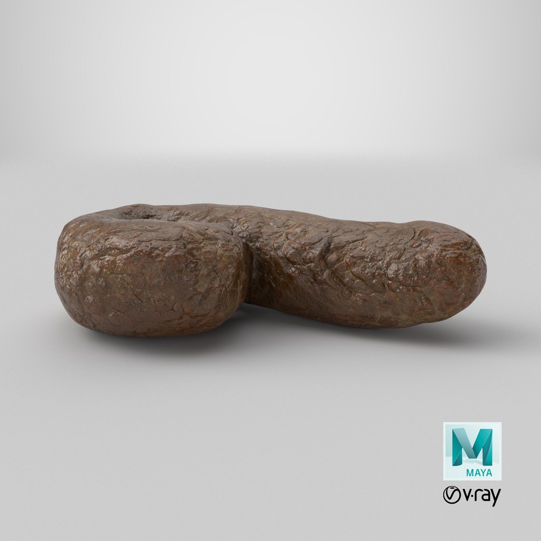 Poop 3 3D model https://p.turbosquid.com/ts-thumb/FS/fcRavd/Sc/stemcell_maya_vray_render/png/1737729162/1920x1080/fit_q87/5d37390ce9476162625ab6a18c9e4ac798eae0d3/stemcell_maya_vray_render.jpg