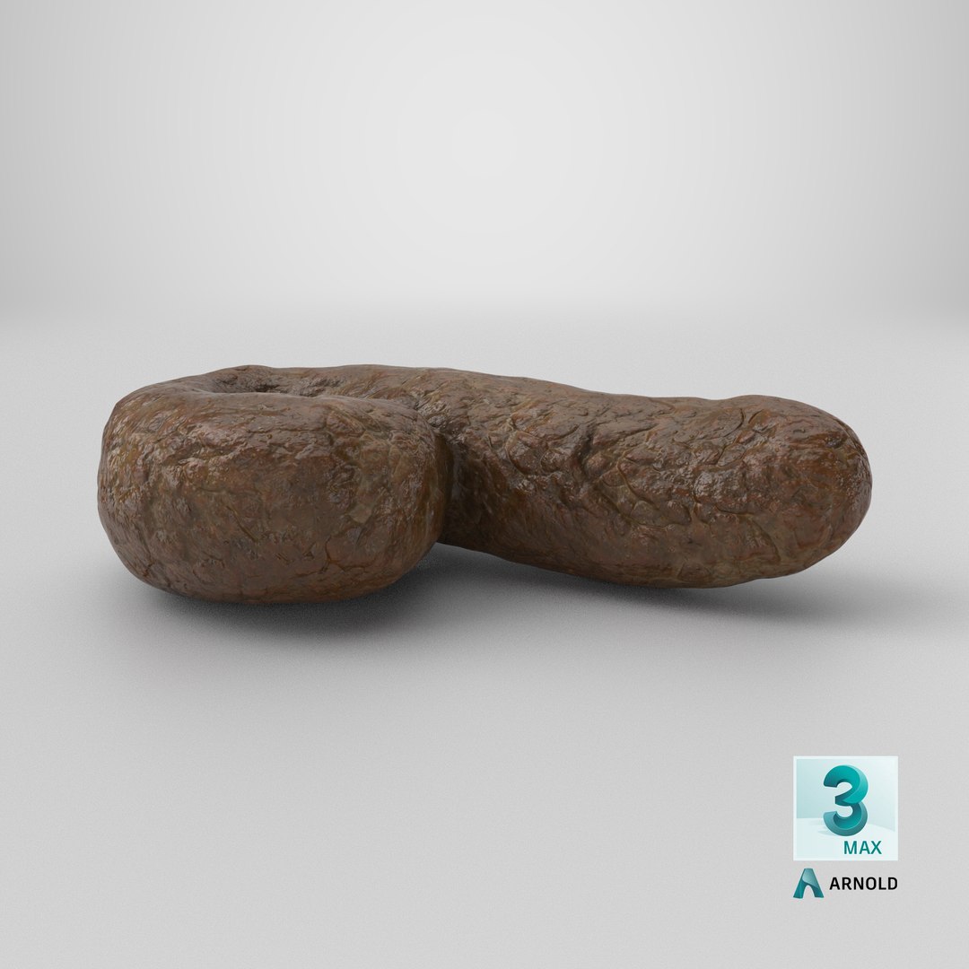 Poop 3 3D model https://p.turbosquid.com/ts-thumb/FS/fcRavd/VB/stemcell_max_arnold_render/png/1737729169/1920x1080/fit_q87/4add445d87cc6aa950b4e6ac4e89d92b1a381168/stemcell_max_arnold_render.jpg