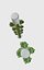 vertical plant