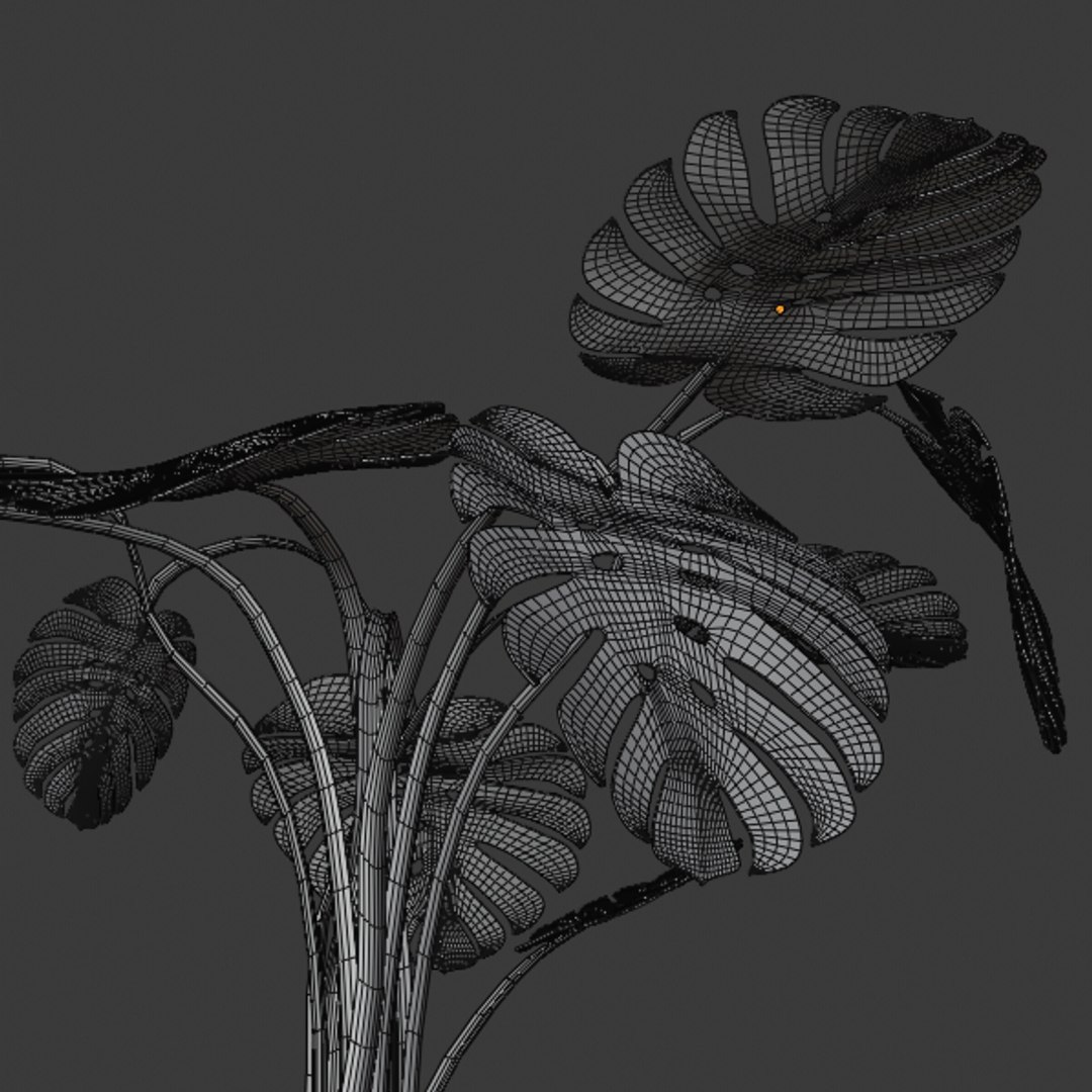 3D model monstera plant pot https://p.turbosquid.com/ts-thumb/FS/pMI14O/F3tMlA2t/mesh5/png/1588850663/1920x1080/fit_q87/f41c061e836a20822e80344fa47969aab0fbc8a7/mesh5.jpg