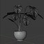 Planta Monstera